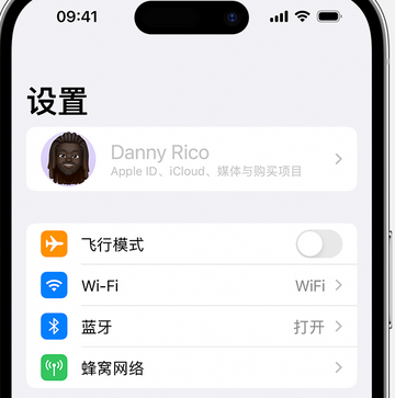 乌坡镇appleID维修服务iPhone设置中Apple ID显示为灰色无法使用 