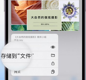 乌坡镇apple维修中心分享iPhone文件应用中存储和找到下载文件