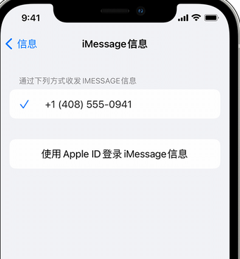 乌坡镇apple维修iPhone上无法正常发送iMessage信息 