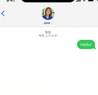 乌坡镇apple维修iPhone上无法正常发送iMessage信息