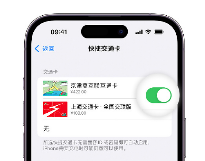 乌坡镇apple维修点分享iPhone上更换Apple Pay快捷交通卡手绘卡面 