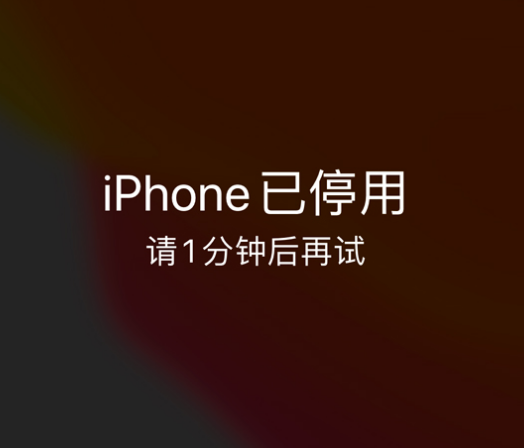 乌坡镇苹果手机维修分享:iPhone 显示“不可用”或“已停用”怎么办？还能保留数据吗？ 