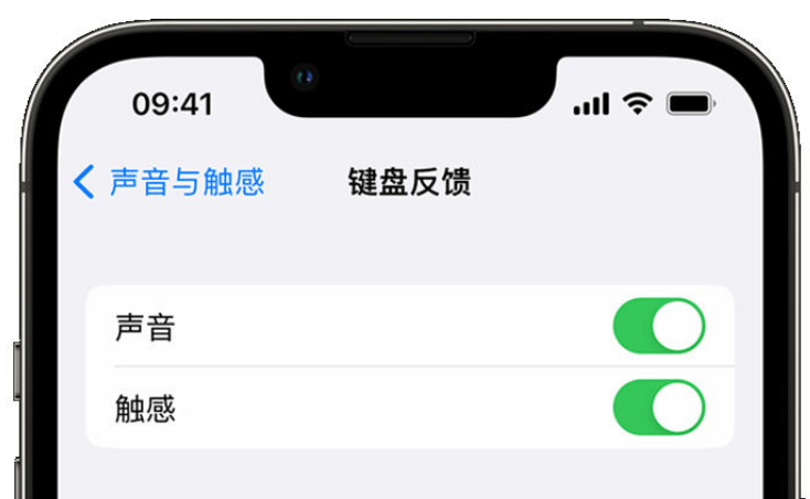 乌坡镇苹果手机维修分享iPhone 14触感键盘使用方法 