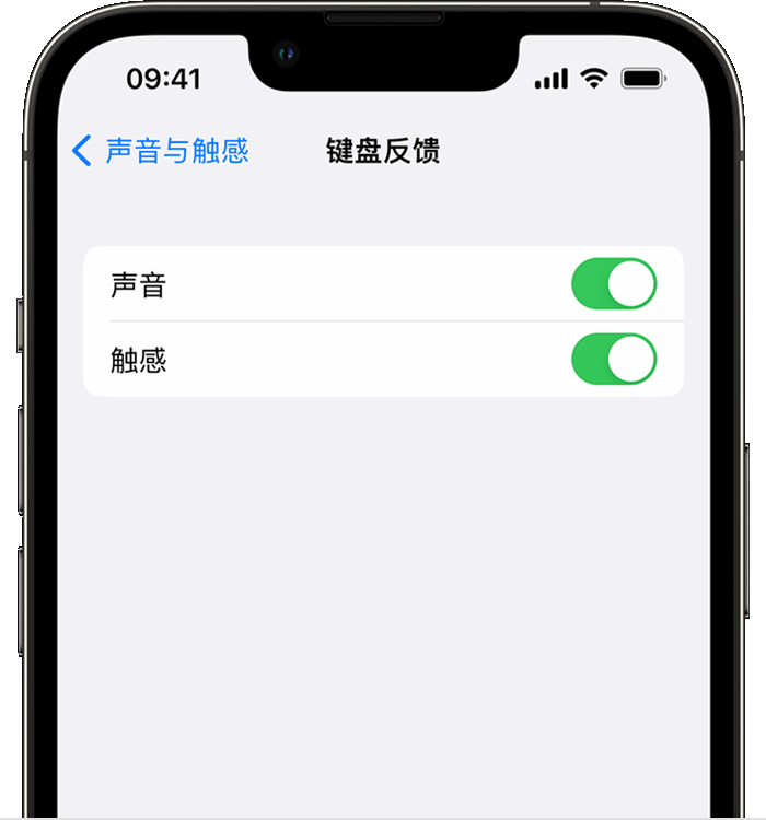 乌坡镇苹果14维修店分享如何在 iPhone 14 机型中使用触感键盘 