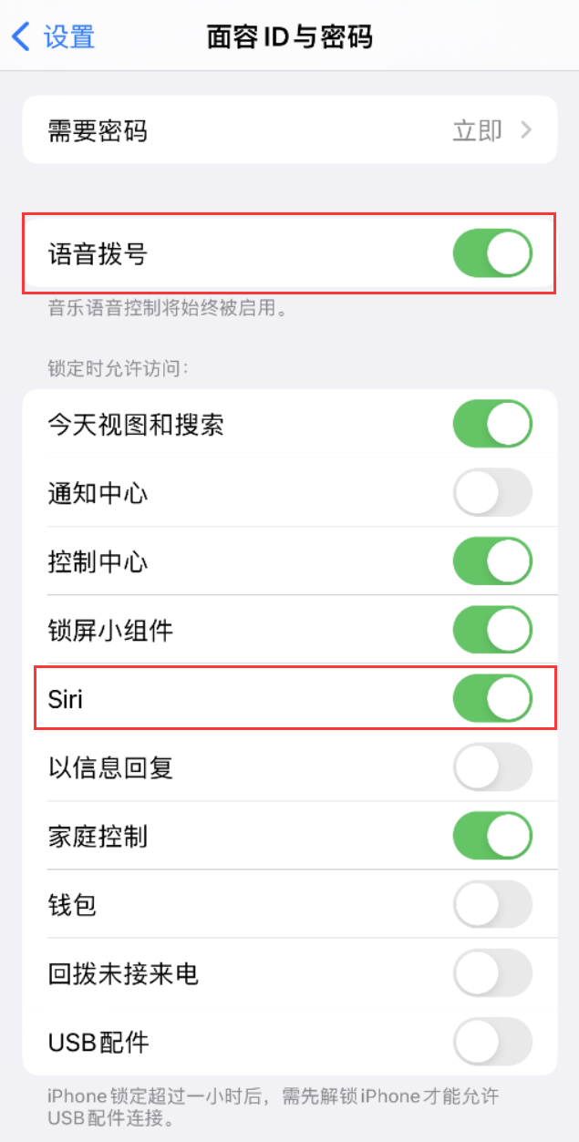 乌坡镇苹果维修网点分享不解锁 iPhone 的情况下通过 Siri 拨打电话的方法 