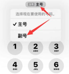 乌坡镇苹果14维修店分享iPhone 14 Pro Max使用副卡打电话的方法 