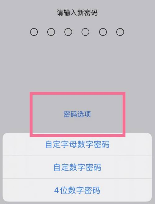 乌坡镇苹果14维修分享iPhone 14plus设置密码的方法 