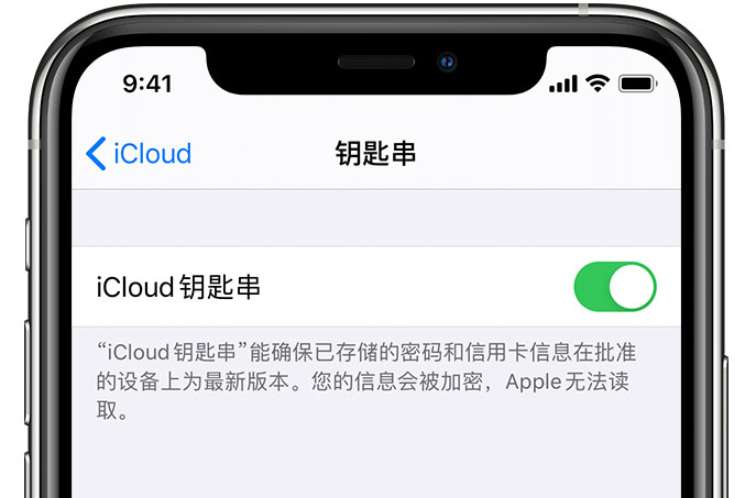 乌坡镇苹果手机维修分享在 iPhone 上开启 iCloud 钥匙串之后会储存哪些信息 