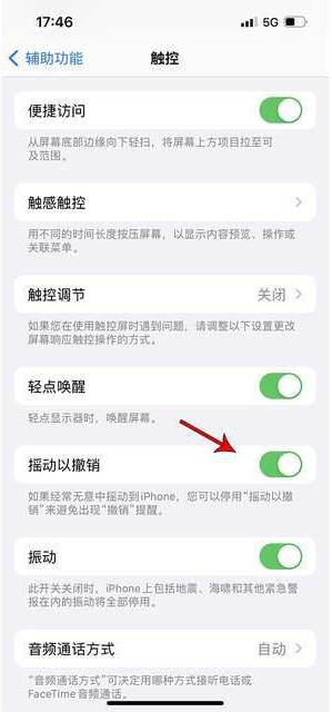 乌坡镇苹果手机维修分享iPhone手机如何设置摇一摇删除文字 