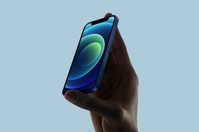 乌坡镇苹果手机维修分享iPhone 12 mini辐射很大吗 