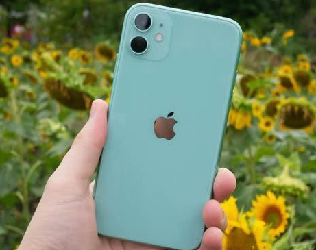 乌坡镇苹果维修点分享iPhone 11锁屏密码认知与使用科普 