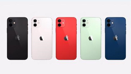 乌坡镇苹果维修点分享iPhone 12锁屏密码系统机制科普 
